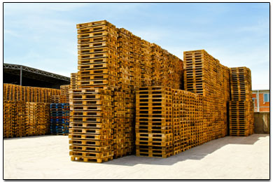 removal and sale of pallets